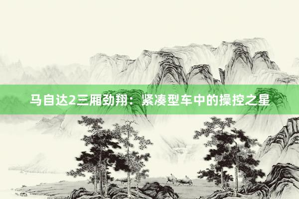 马自达2三厢劲翔：紧凑型车中的操控之星